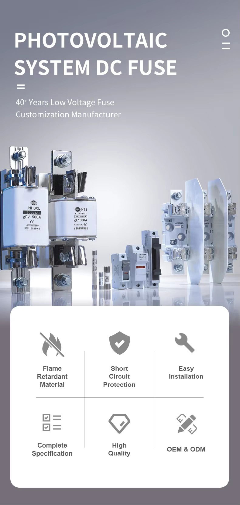 80A 22×58mm Cylindrical Fuse